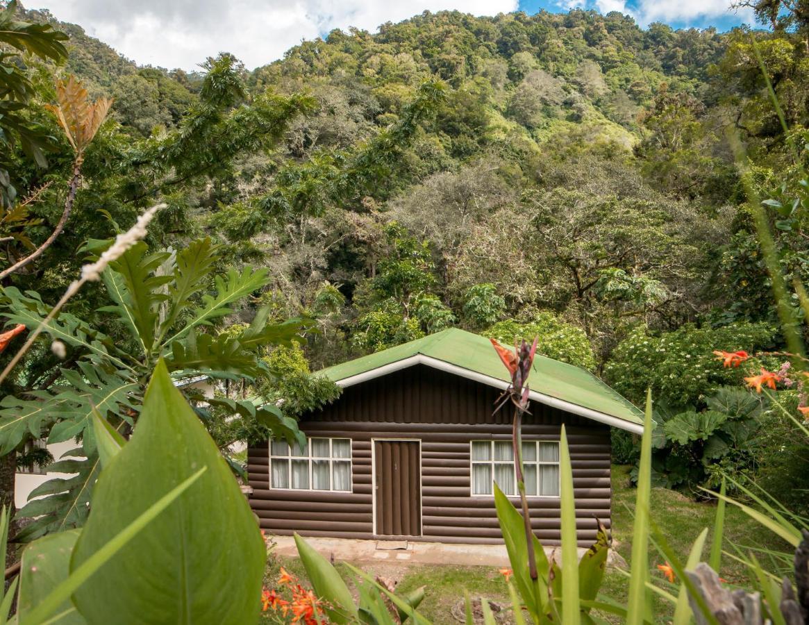 Cabinas El Quetzal Сан-Херардо-де-Дота Экстерьер фото