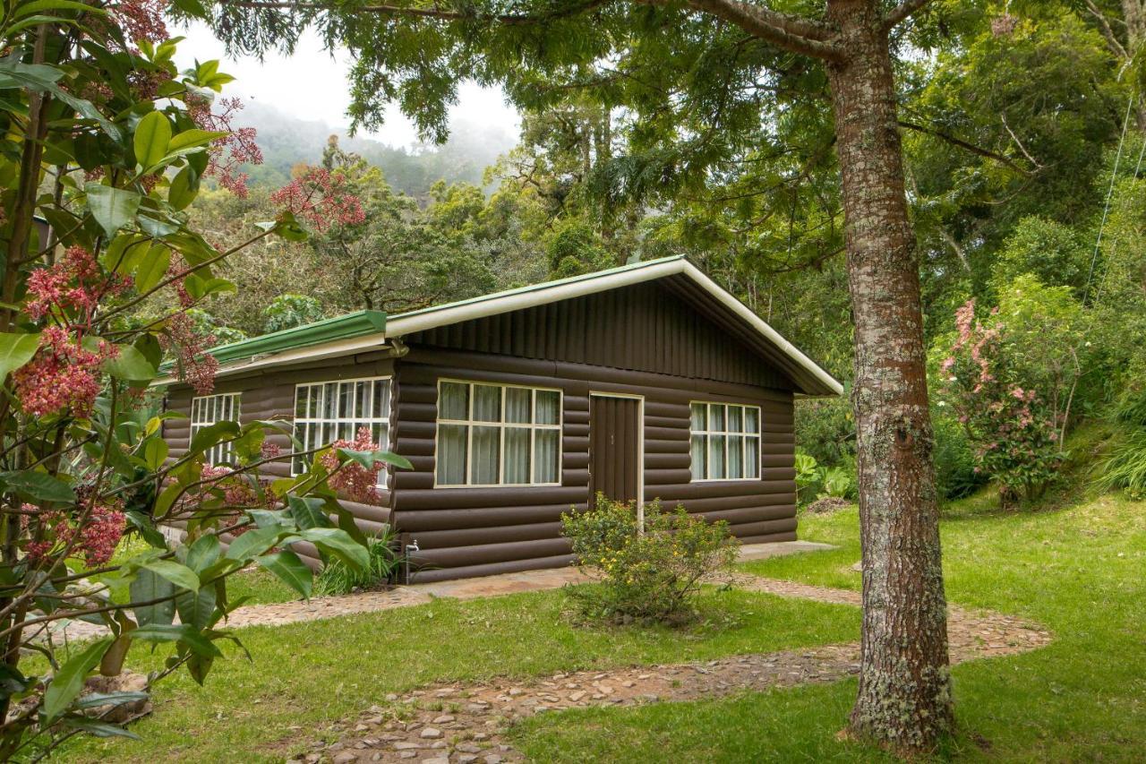 Cabinas El Quetzal Сан-Херардо-де-Дота Экстерьер фото