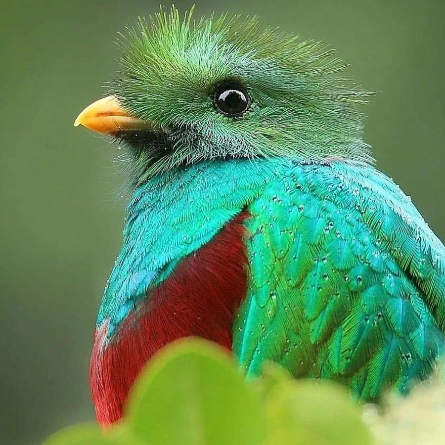 Cabinas El Quetzal Сан-Херардо-де-Дота Экстерьер фото
