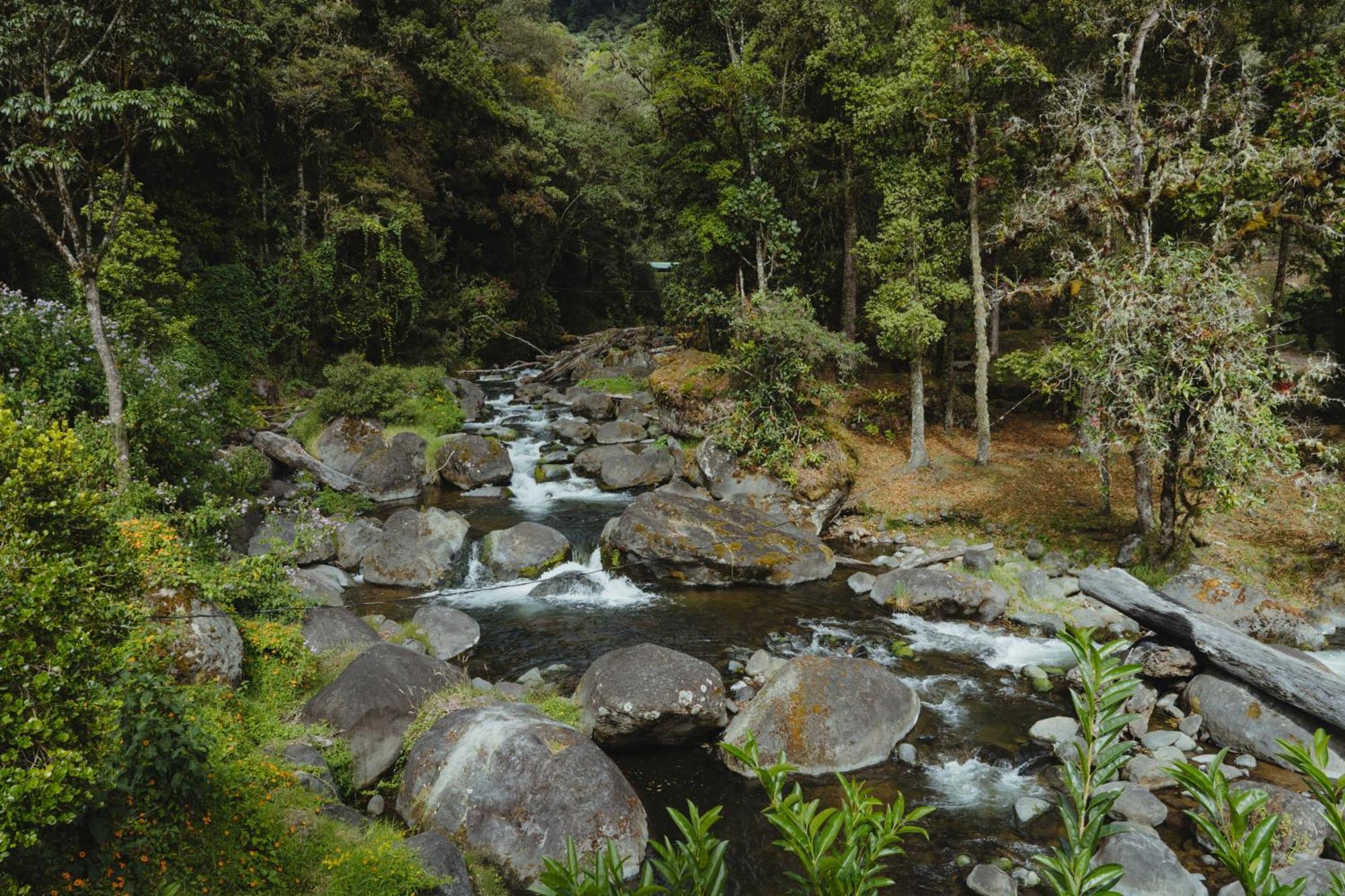 Cabinas El Quetzal Сан-Херардо-де-Дота Экстерьер фото